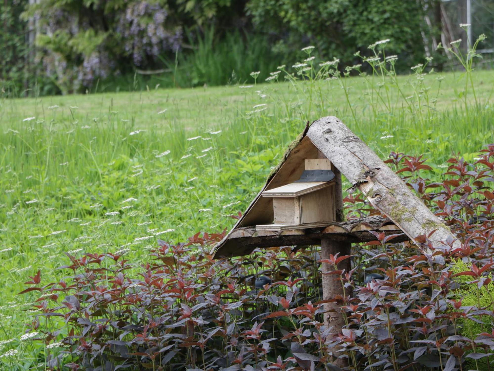 Fordie East Cottage Crieff Bagian luar foto